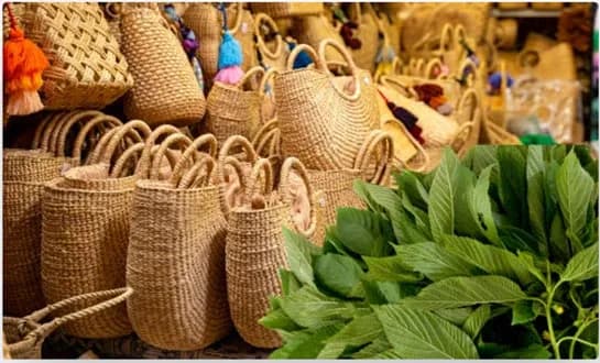 Deals Near Me: কাছাকাছি সেরা Deal কীভাবে খুঁজবেন?