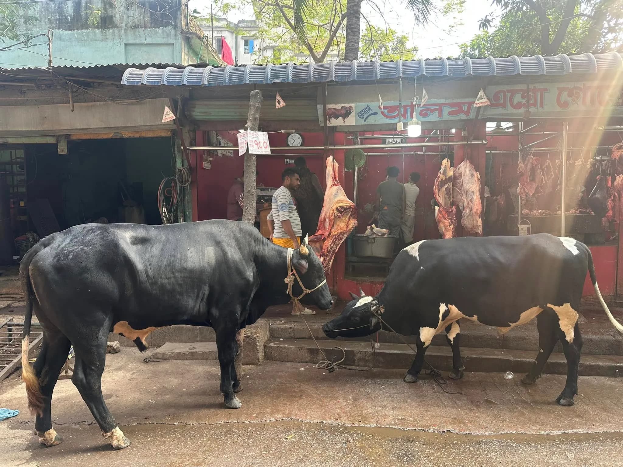 Beef Regular Cuts - Beef Bone In 1Kg